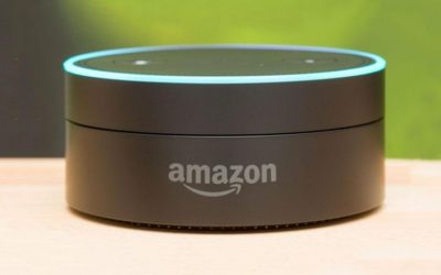 Amazon Alexa Data Wanted in Murder Investigation