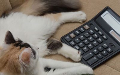 Funding Ask & Valuation 101 for founders