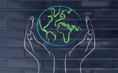 How Companies and Consumers Can Support Sustainability