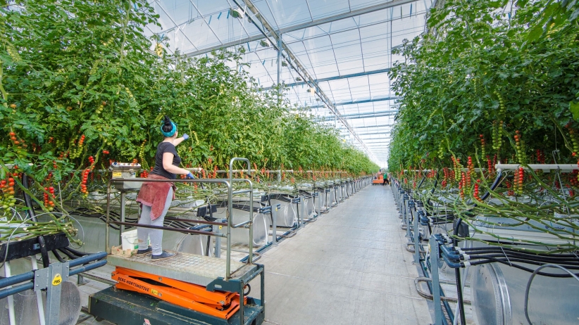 Pure Harvest Aims To Overcome Local Climate Challenges And Make Farming High Tech