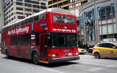 The Best Countries to Start a Business Are . . .