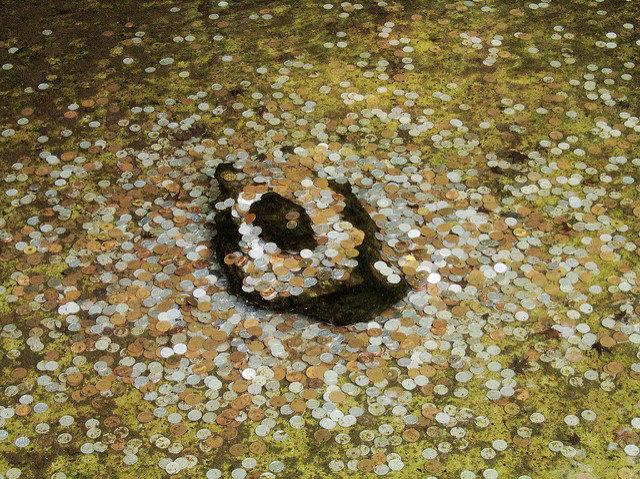 The Probability of Raising Funds for Your Startup