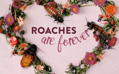 10 Weird, Funny, Sweet and Out-There Valentine’s Day Promotions For Singles and Couples