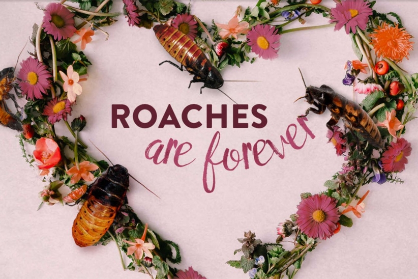 10 Weird, Funny, Sweet and Out-There Valentine’s Day Promotions For Singles and Couples