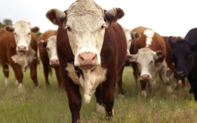 3 Tracking Technologies That Will Change the Future