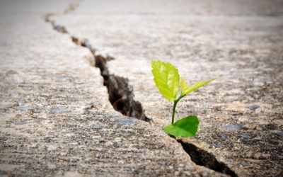 Procrastination, Resistance, Fear? Join the Club.