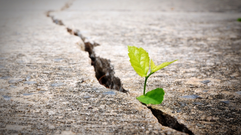 Procrastination, Resistance, Fear? Join the Club.