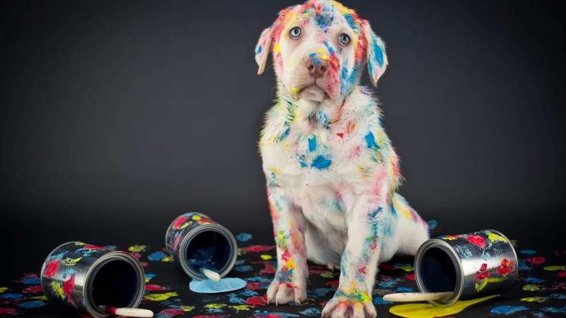 The Importance of Building Trust Online