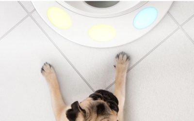 6 Startups Solving First World Problems