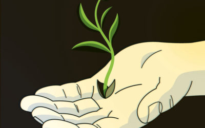 A Dearth of I.P.O.s, but It’s Not the Fault of Red Tape