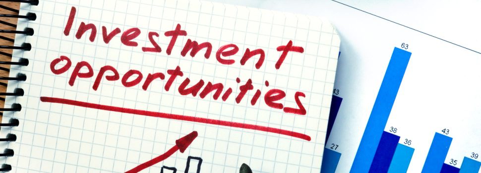 Look Before Leaping: Consider this before investing in a startup