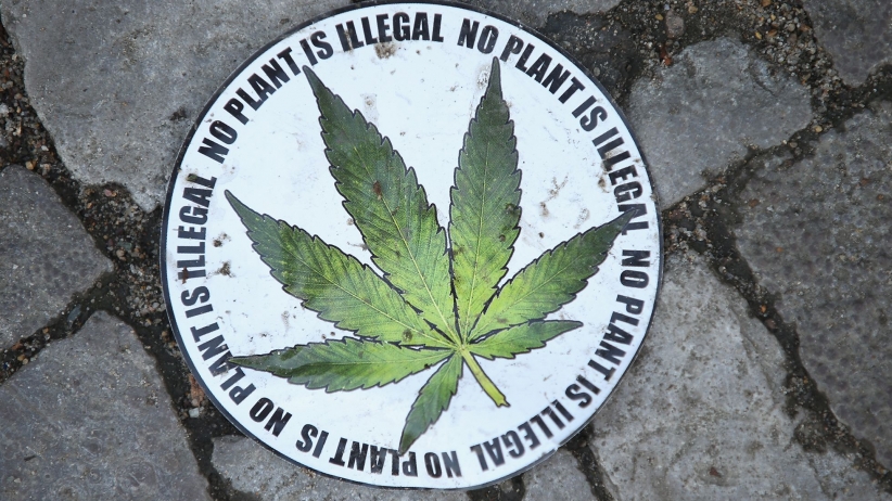 Marijuana Lobby Grows As Legalization Spreads Throughout Country