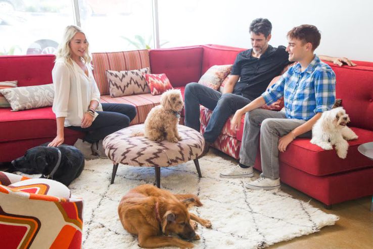 Rover and DogVacay merge to dominate the pet-sitting market