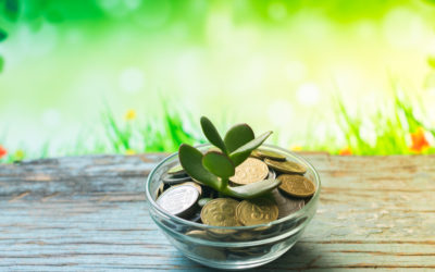 A Springtime Bouquet Of B2B FinTech Funding