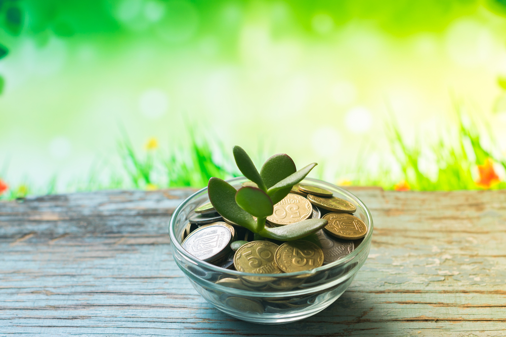 A Springtime Bouquet Of B2B FinTech Funding