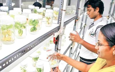 Fund crunch vexes biotech start-ups