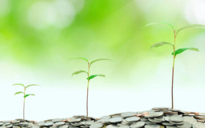 GVFL to back 5-6 companies this year, eyeing exits: MD Sanjay Randhar