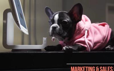 ‘No Humans Allowed’ Coworking Space for Animals Set to Open