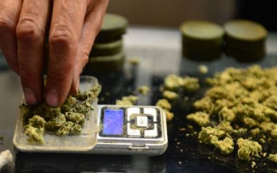 Oxford University Researchers to Explore the Potential Benefits of Medical Marijuana