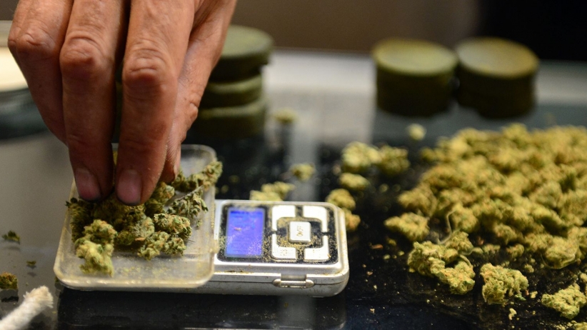 Oxford University Researchers to Explore the Potential Benefits of Medical Marijuana
