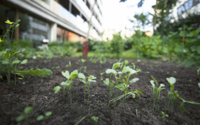 SeedPlus closes $18M early-stage fund backed by Cisco, Eight Roads and others