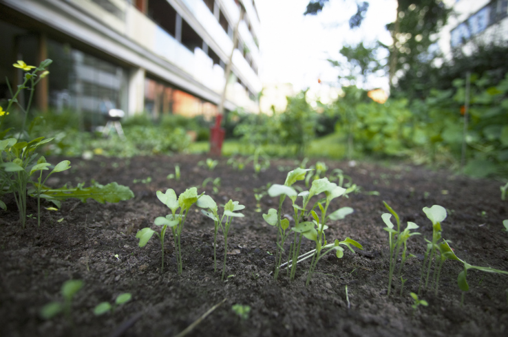 SeedPlus closes $18M early-stage fund backed by Cisco, Eight Roads and others