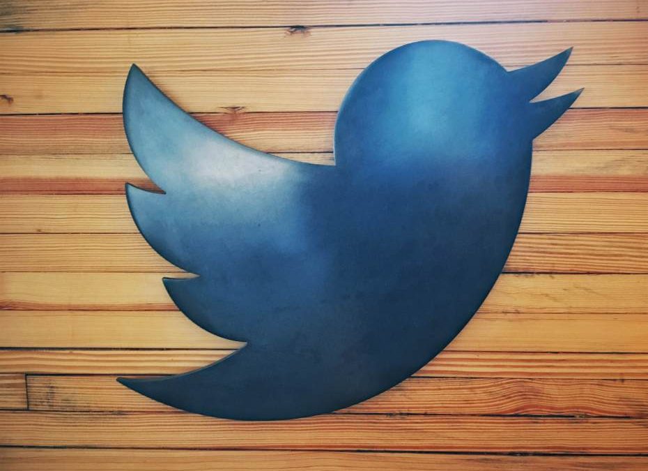 U.S. Homeland Security probes possible abuse in Twitter summons case