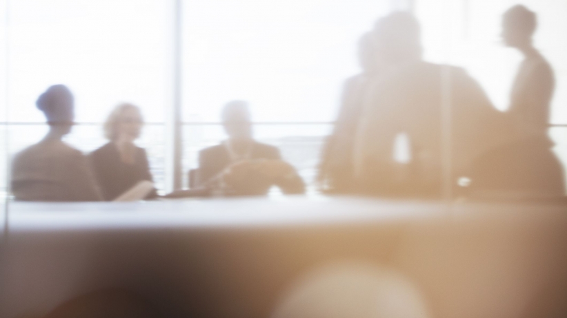 Want to Take Your Business to the Next Level? Consider Establishing a Board of Directors.