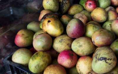 What You Can Learn About Business From a Mango Vendor in Fiji