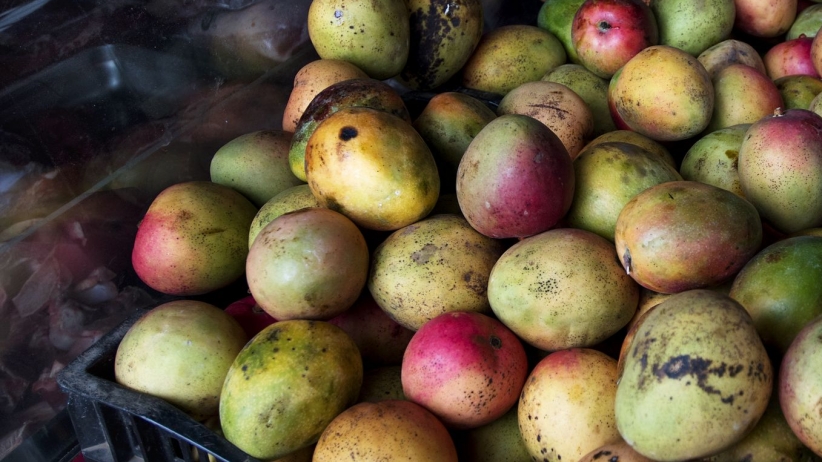 What You Can Learn About Business From a Mango Vendor in Fiji