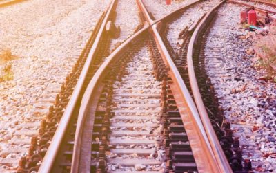 Why This Successful Company Completely Changed Its Offerings — and How It Made It Work