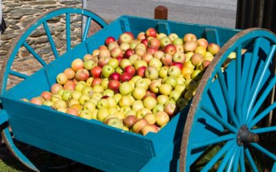 Abundant Robotics rakes in $10 million for apple harvesting robots