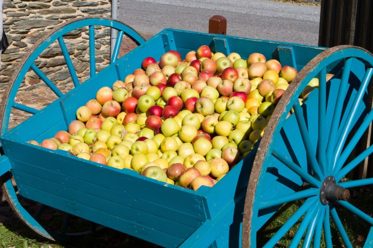 Abundant Robotics rakes in $10 million for apple harvesting robots