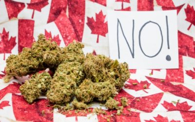 Border Officials Are Banning Canadians Who Admit They’ve Smoked Marijuana