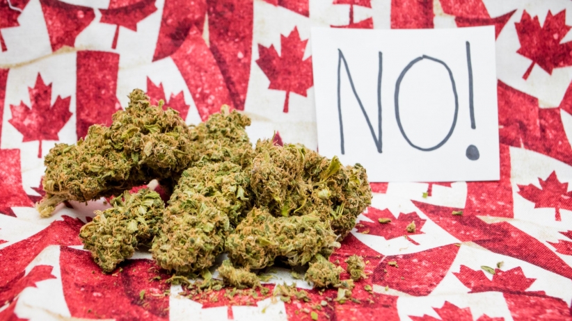 Border Officials Are Banning Canadians Who Admit They’ve Smoked Marijuana
