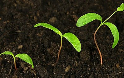 How to Identify Growth Potential During the Recruiting Process