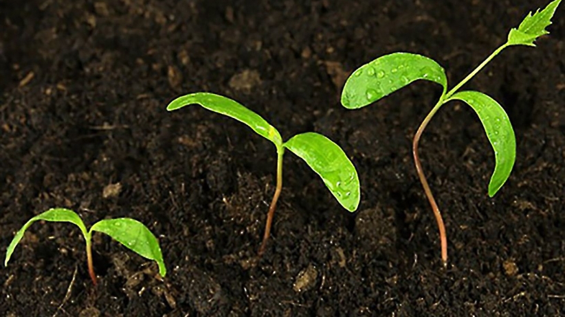 How to Identify Growth Potential During the Recruiting Process