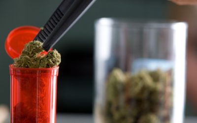 Israel Studies Potential of Medical Marijuana as a Treatment for Autism