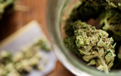 Legal Marijuana Sales Surpass Viagra, Tequila and Girl Scout Cookies