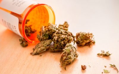 New Data Shows Medical Marijuana Consumers Far Outspend Recreational Users