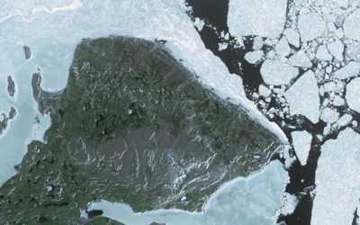 Orbital Insight closes $50M Series C led by Sequoia