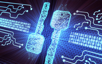 Cloud security broker Netskope raises $100m more led by Lightspeed and Accel