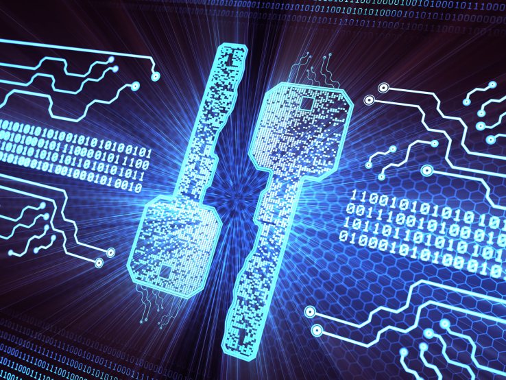Cloud security broker Netskope raises $100m more led by Lightspeed and Accel