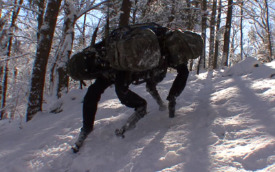 Softbank is buying robotics firms Boston Dynamics and Schaft from Alphabet