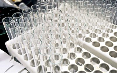 Pfizer Alum’s China Startup Is Said to Select Banks for IPO