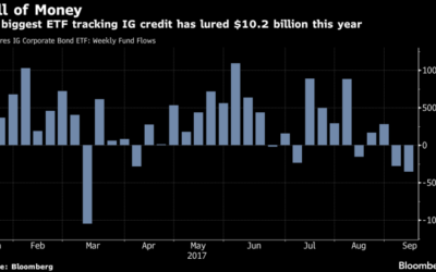 In World of Supposed Bubbles Here’s What Investors Fear Most