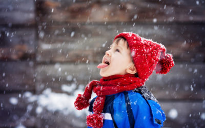 Snowflake’s newest cloud data warehouse takes aim at regulated industries