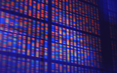 WuXi NextCODE aims for the genomics database “gold standard” with new $240 million